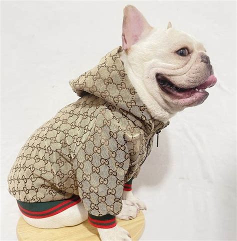 gucci collaba felino|gucci coats for pets.